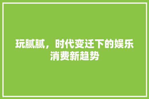 玩腻腻，时代变迁下的娱乐消费新趋势
