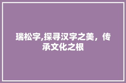 瑞松字,探寻汉字之美，传承文化之根