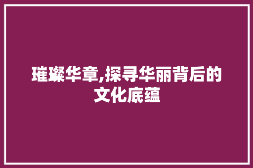 璀璨华章,探寻华丽背后的文化底蕴