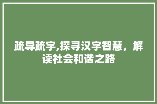 疏导疏字,探寻汉字智慧，解读社会和谐之路