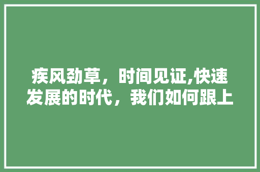 疾风劲草，时间见证,快速发展的时代，我们如何跟上脚步