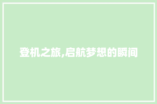 登机之旅,启航梦想的瞬间