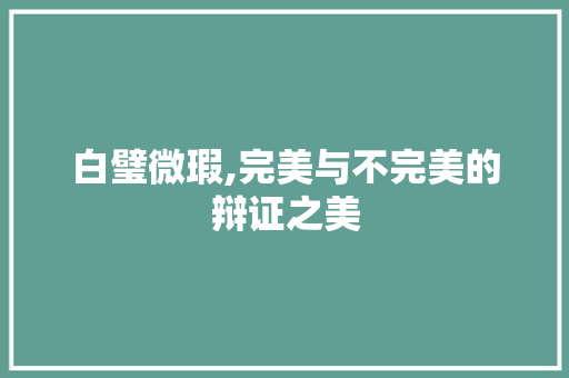 白璧微瑕,完美与不完美的辩证之美 短语
