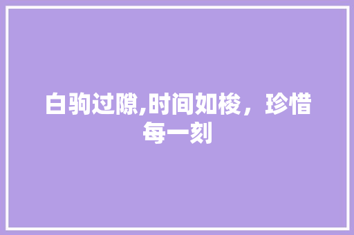 白驹过隙,时间如梭，珍惜每一刻 古代典籍