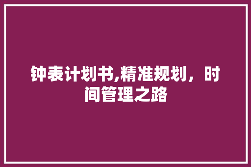 钟表计划书,精准规划，时间管理之路