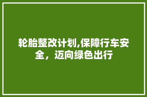 轮胎整改计划,保障行车安全，迈向绿色出行