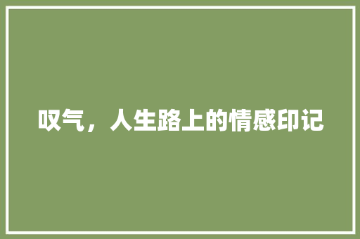 叹气，人生路上的情感印记 汉字拼音