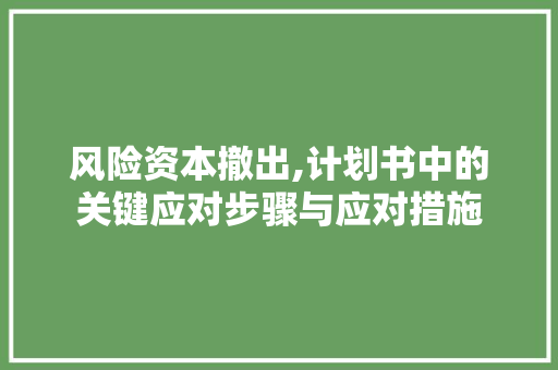 风险资本撤出,计划书中的关键应对步骤与应对措施