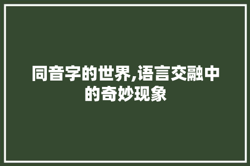 同音字的世界,语言交融中的奇妙现象