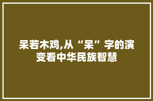 呆若木鸡,从“呆”字的演变看中华民族智慧