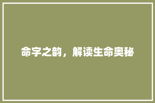 命字之韵，解读生命奥秘