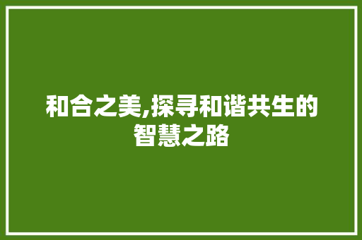 和合之美,探寻和谐共生的智慧之路