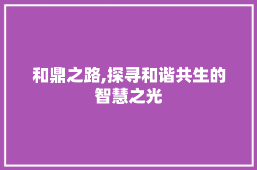 和鼎之路,探寻和谐共生的智慧之光