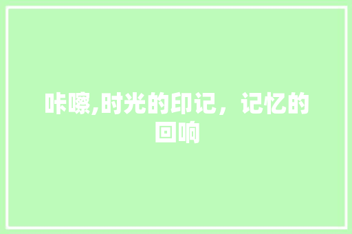 咔嚓,时光的印记，记忆的回响
