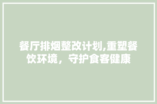 餐厅排烟整改计划,重塑餐饮环境，守护食客健康