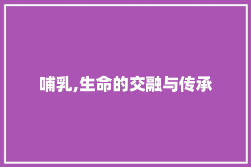 哺乳,生命的交融与传承