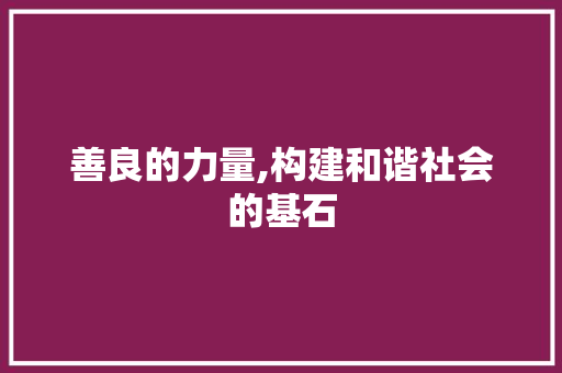 善良的力量,构建和谐社会的基石