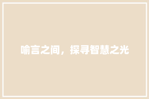 喻言之间，探寻智慧之光