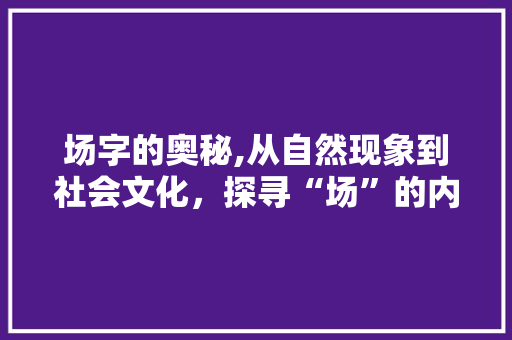 场字的奥秘,从自然现象到社会文化，探寻“场”的内涵与价值