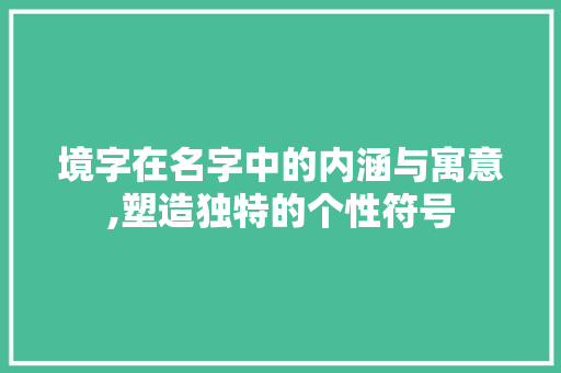 境字在名字中的内涵与寓意,塑造独特的个性符号