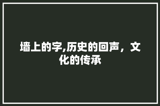 墙上的字,历史的回声，文化的传承