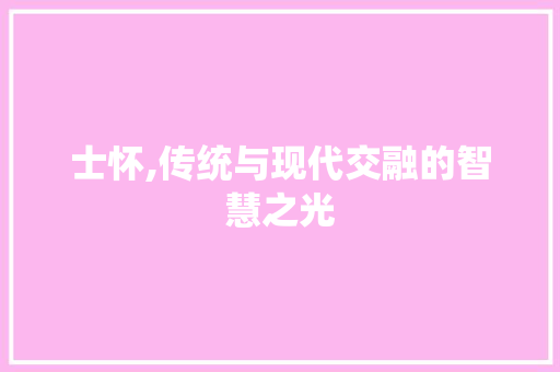 士怀,传统与现代交融的智慧之光