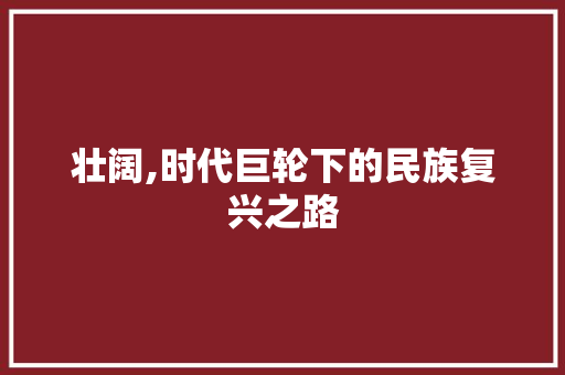 壮阔,时代巨轮下的民族复兴之路