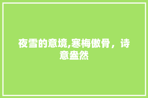 夜雪的意境,寒梅傲骨，诗意盎然