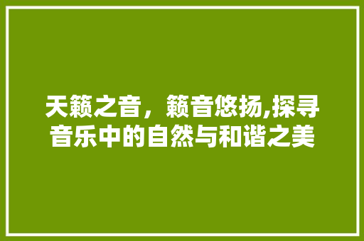 天籁之音，籁音悠扬,探寻音乐中的自然与和谐之美