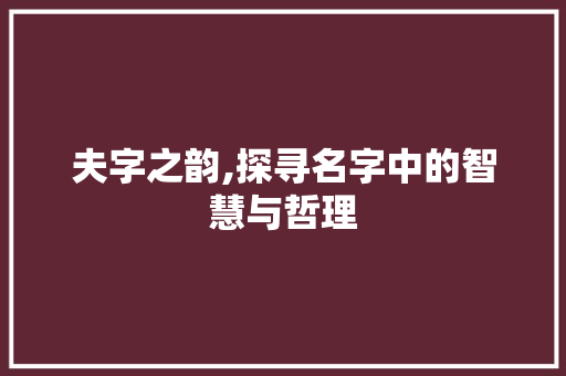 夫字之韵,探寻名字中的智慧与哲理 问答