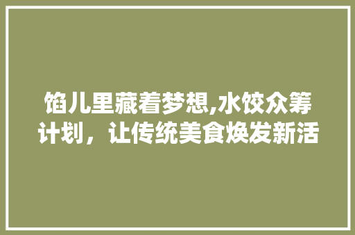 馅儿里藏着梦想,水饺众筹计划，让传统美食焕发新活力