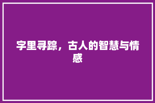 字里寻踪，古人的智慧与情感