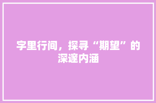 字里行间，探寻“期望”的深邃内涵