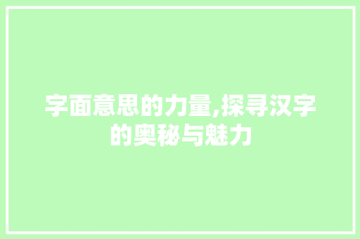 字面意思的力量,探寻汉字的奥秘与魅力