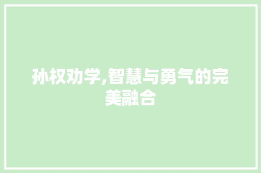孙权劝学,智慧与勇气的完美融合