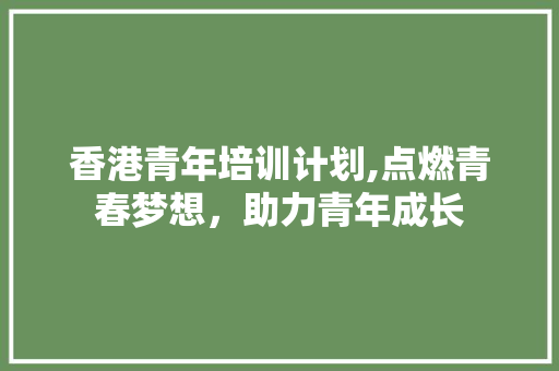 香港青年培训计划,点燃青春梦想，助力青年成长
