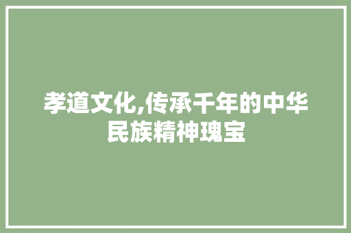 孝道文化,传承千年的中华民族精神瑰宝