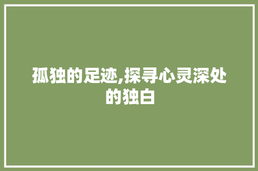 孤独的足迹,探寻心灵深处的独白