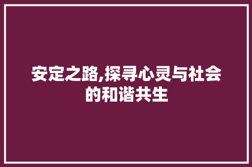 安定之路,探寻心灵与社会的和谐共生