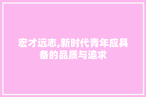 宏才远志,新时代青年应具备的品质与追求
