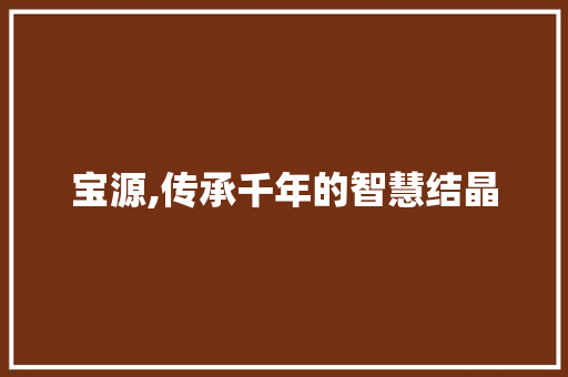 宝源,传承千年的智慧结晶