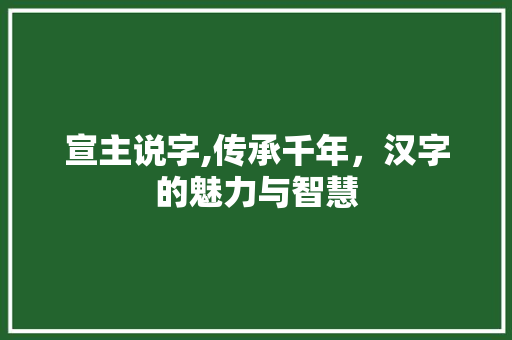 宣主说字,传承千年，汉字的魅力与智慧