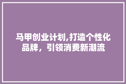 马甲创业计划,打造个性化品牌，引领消费新潮流