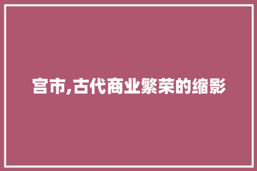宫市,古代商业繁荣的缩影