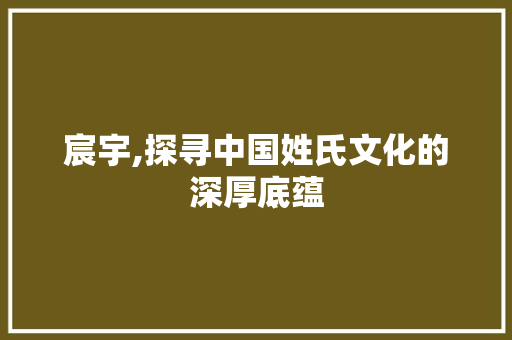 宸宇,探寻中国姓氏文化的深厚底蕴