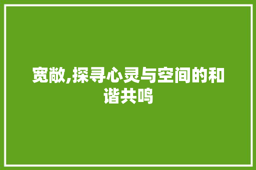 宽敞,探寻心灵与空间的和谐共鸣