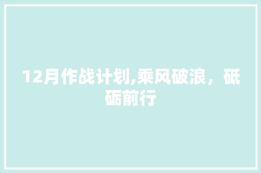 12月作战计划,乘风破浪，砥砺前行 英语单词