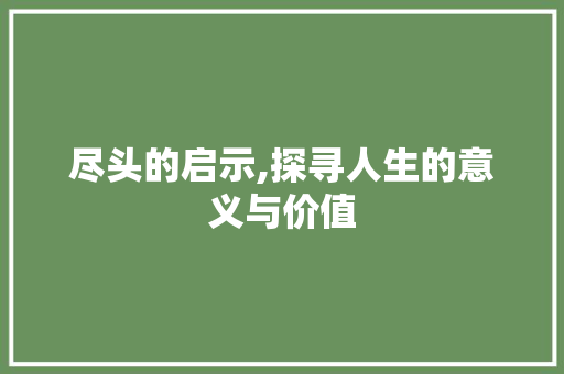 尽头的启示,探寻人生的意义与价值