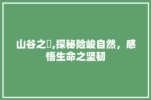 山谷之崄,探秘险峻自然，感悟生命之坚韧