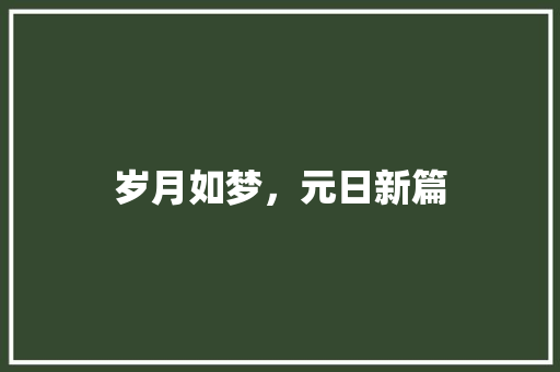 岁月如梦，元日新篇